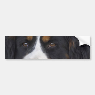 Berner Sennenhund bildekal