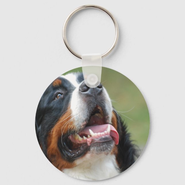 Berner Sennenhund Hund Keychain Nyckelring (Framsida)