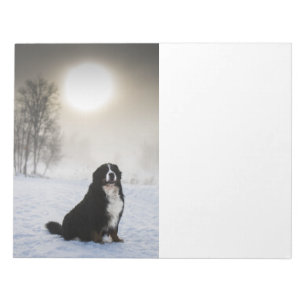Berner Sennenhund i snö Anteckningsblock