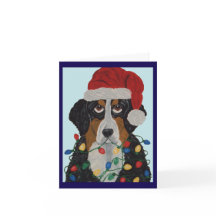 Berner Sennenhund intrasslad i julgransbelysning