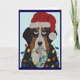Berner Sennenhund intrasslad i julgransbelysning Kort