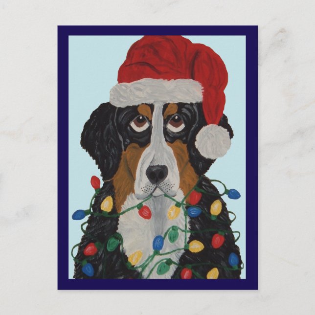 Berner Sennenhund intrasslad i julgransbelysning Vykort (Framsida)