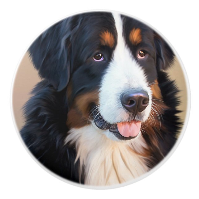 Berner Sennenhund Knopp (Framsidan)