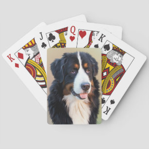 Berner Sennenhund Kortlek