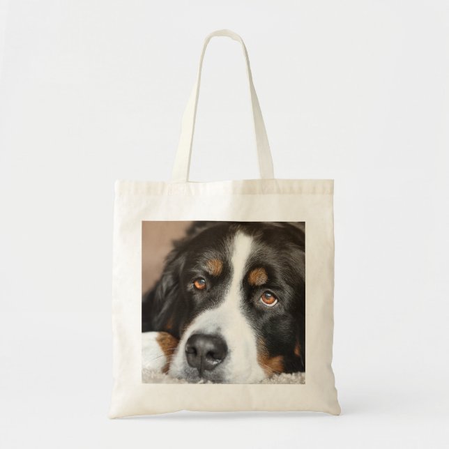 berner sennenhund som ligger tygkasse (Framsidan)