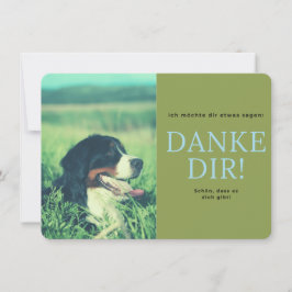 Berner Sennenhund Tack Kort