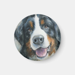 Bernersennenhund akvarellporträtt magnet