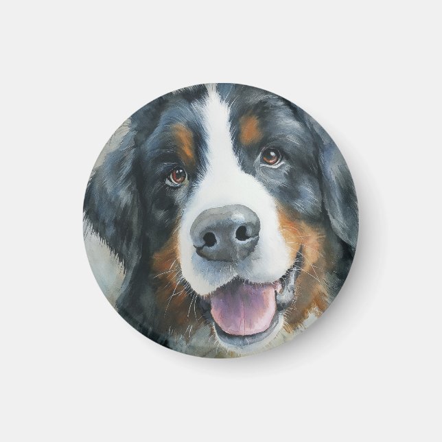 Bernersennenhund akvarellporträtt magnet (Framsidan)