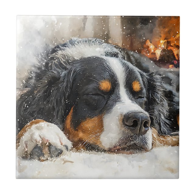 Bernersennenhund Kakelplatta (Framsidan)