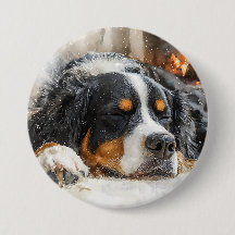 Bernersennenhund