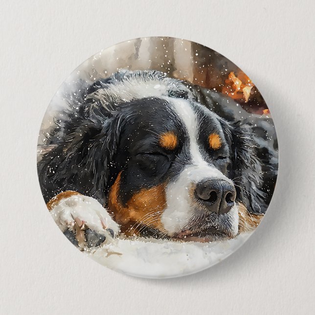 Bernersennenhund Knapp (Framsida)