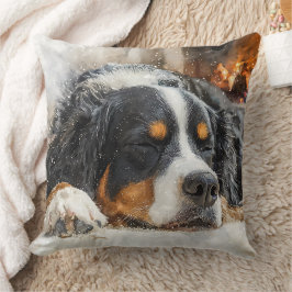 Bernersennenhund Kudde