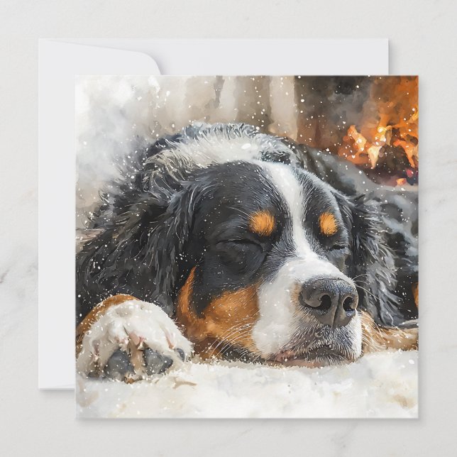 Bernersennenhund Tack Kort (Framsida)