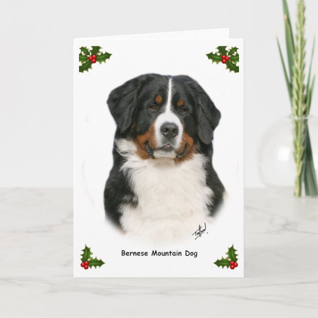 Bernese 9Y348D-094 Helgkort (Framsida)