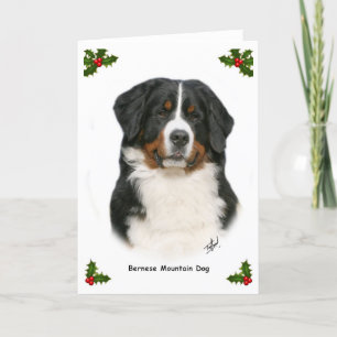 Bernese 9Y348D-094 Helgkort