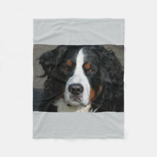 bernese berg dog.png fleecefilt