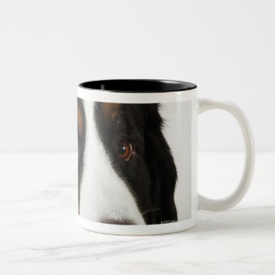 Bernese berghund (Berner Sennenhund) med Två-Tonad Mugg