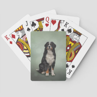 Bernese berghund casinokort