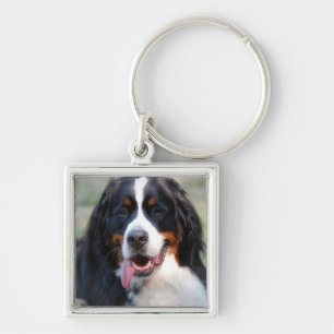 Bernese berghund med den stora tungan Keychain Fyrkantig Silverfärgad Nyckelring