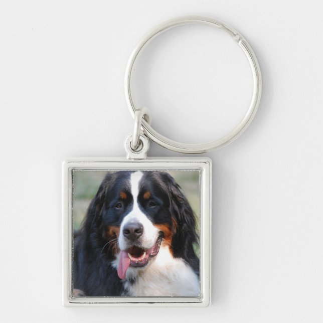 Bernese berghund med den stora tungan Keychain Fyrkantig Silverfärgad Nyckelring (Framsidan)