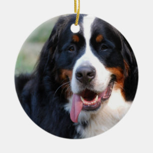 Bernese berghund med stora tungaprydnadar julgransprydnad keramik