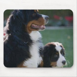 Bernese berghund Mousepad Musmatta