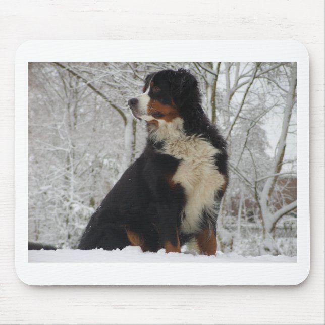 Bernese berghund musmatta (Framsidan)