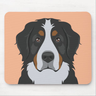 Bernese berghund musmatta