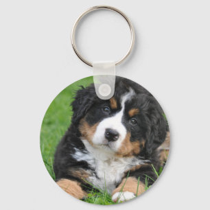 Bernese berghund nyckelring