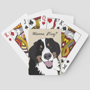 Bernese berghund som leker kort casinokort