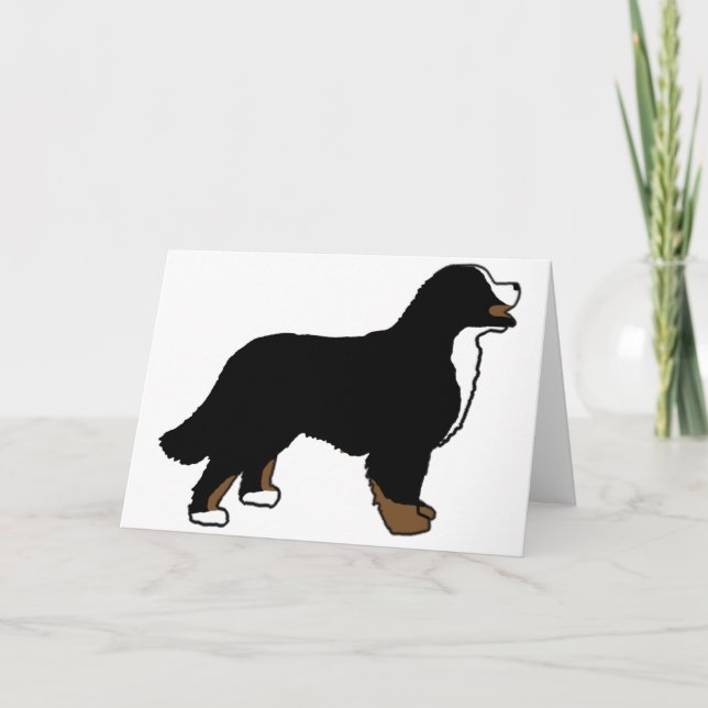 Bernese berghund Triclolor Kort (Framsida)