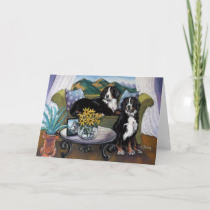 Bernese berghundar kort