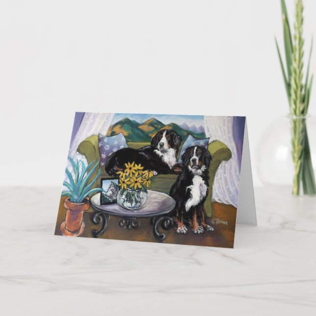 Bernese berghundar kort (Framsida)