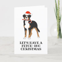 Bernese hund-julkort