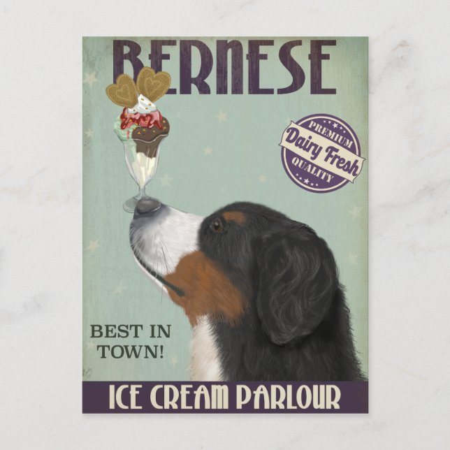 Bernese Ice Cream Vykort (Framsida)