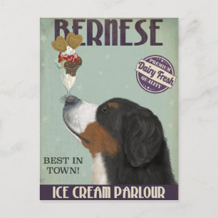 Bernese Ice Cream Vykort