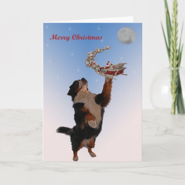 Bernese mötejul helgkort (Framsida)