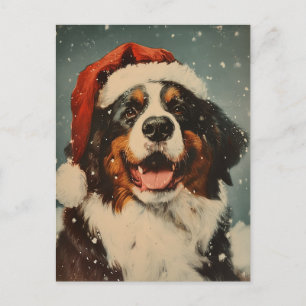 Bernese Mounese hund christmas Vykort