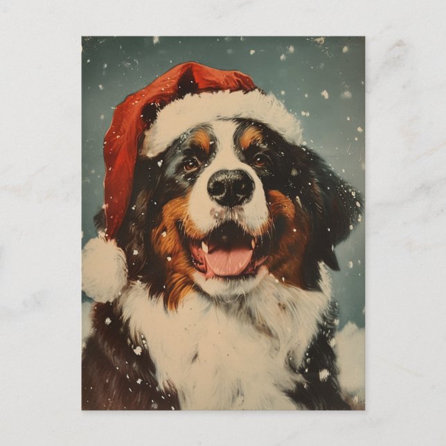 Bernese Mounese hund christmas Vykort (Framsida)