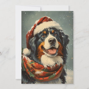 Bernese Mounese hund jul Julkort