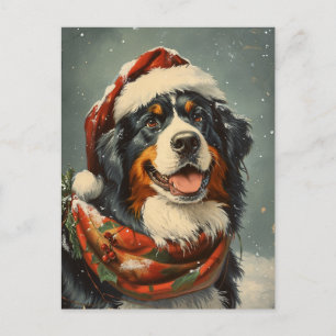 Bernese Mounese hund jul Vykort