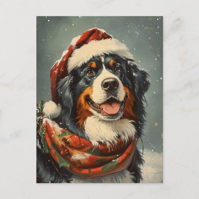 Bernese Mounese hund jul Vykort (Framsida)