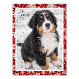 Bernese Mounese hund On Red and White Snowflake Fototryck