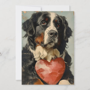 Bernese mountain dog Alla hjärtans dag Julkort