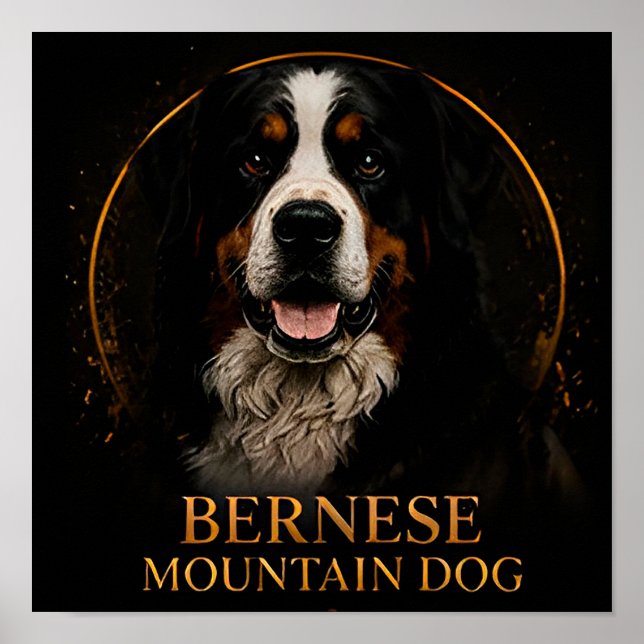 Bernese Mountain Dog Alpin Arv Poster (Framsidan)