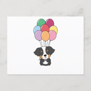 Bernese Mountain Dog flyger med färgglada ballonge Vykort