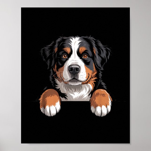 Bernese Mountain Dog Funny Peeking Cket Berner Pup Poster (Framsidan)