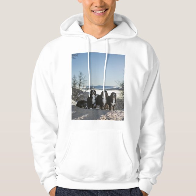Bernese Mountain Dog-gruppen   Hoodie (Framsida)
