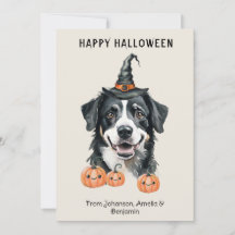 Bernese Mountain Dog Halloween-kort | Häxa Hatt Pu