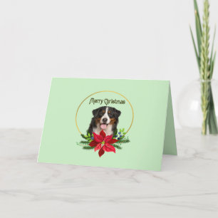 Bernese Mountain Dog i en julkrans Helgkort